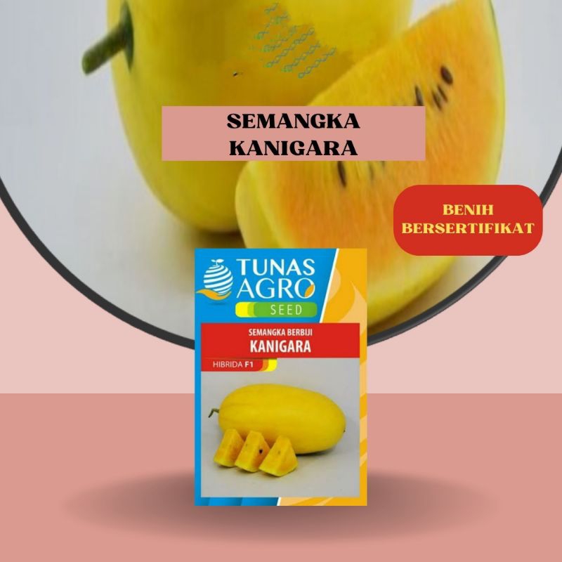 BENIH SEMANGKA KUNIGARA 50 BIJI ECER