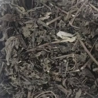 

Daun Kumis Kucing Kering Herbal Jamu Wedang Pelancar Kencing Pembersih ginjal