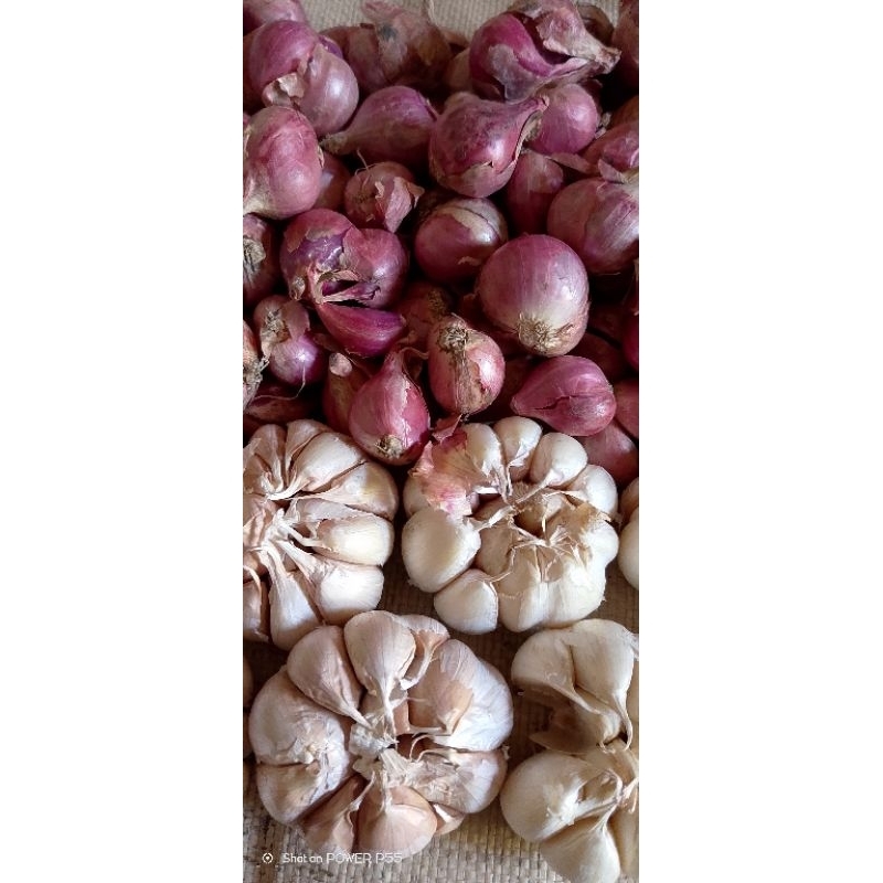 

bawang merah tanggung+bawang putih sinco(750g+250g)