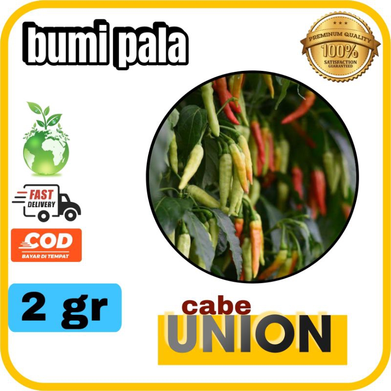 

cabe rawit putih merunduk union (2gr)