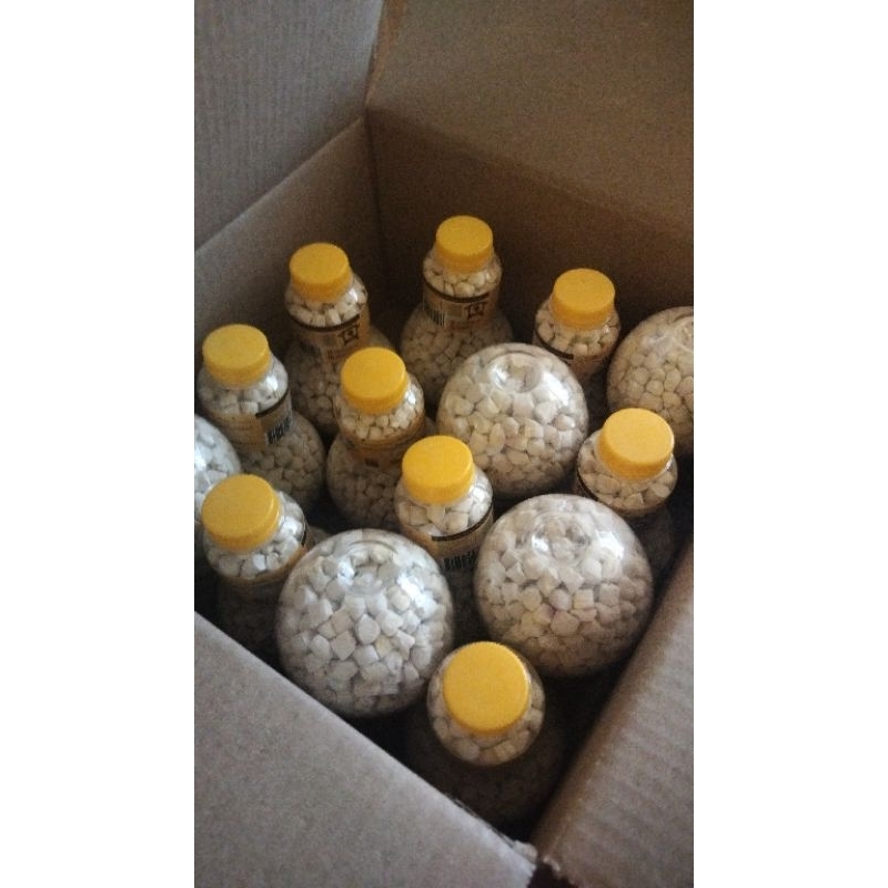 Bedda Pica Macenning