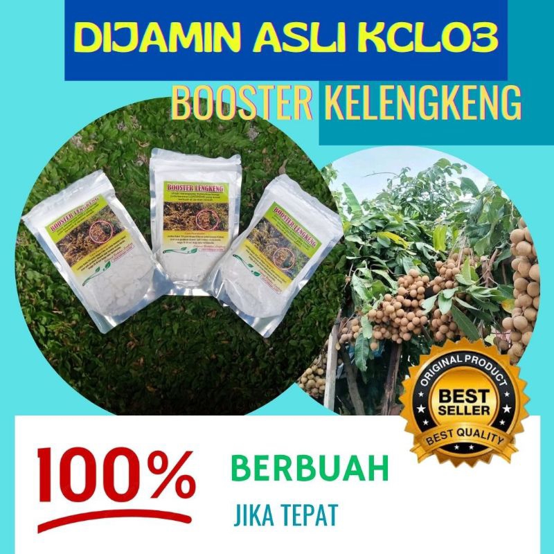 JAMIN ASLI.. Booster kelengkeng kclo3 murni