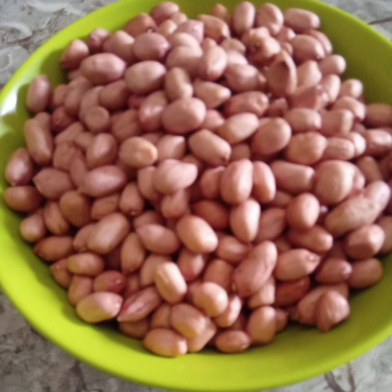 

kacang tanah asli 100% Super....!!kacang besar