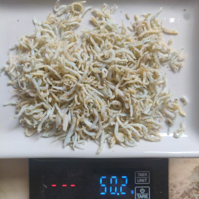 

Ikan Teri Medan putih kering 50 g