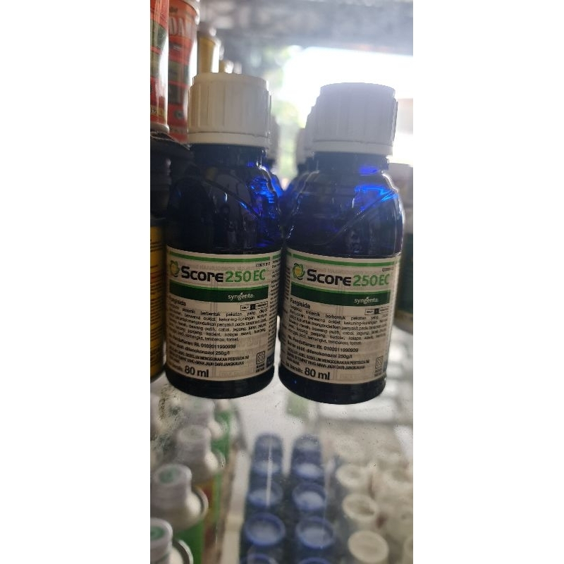 Fungisida Score 80ml