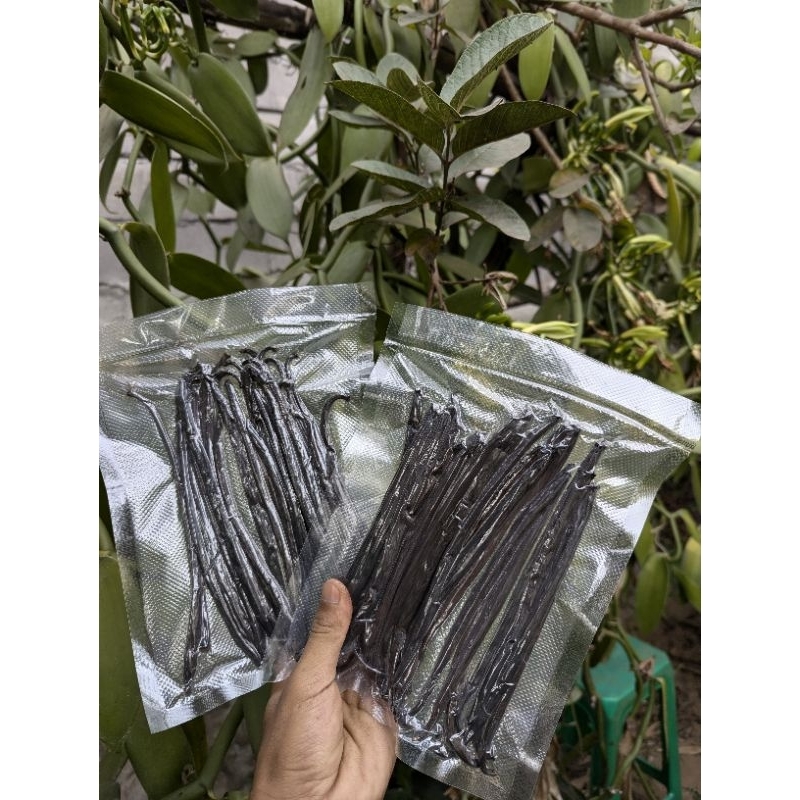 

VANILLA BEANS 100 GRAM/ VANILI KERING 100 GRAM GRADE A