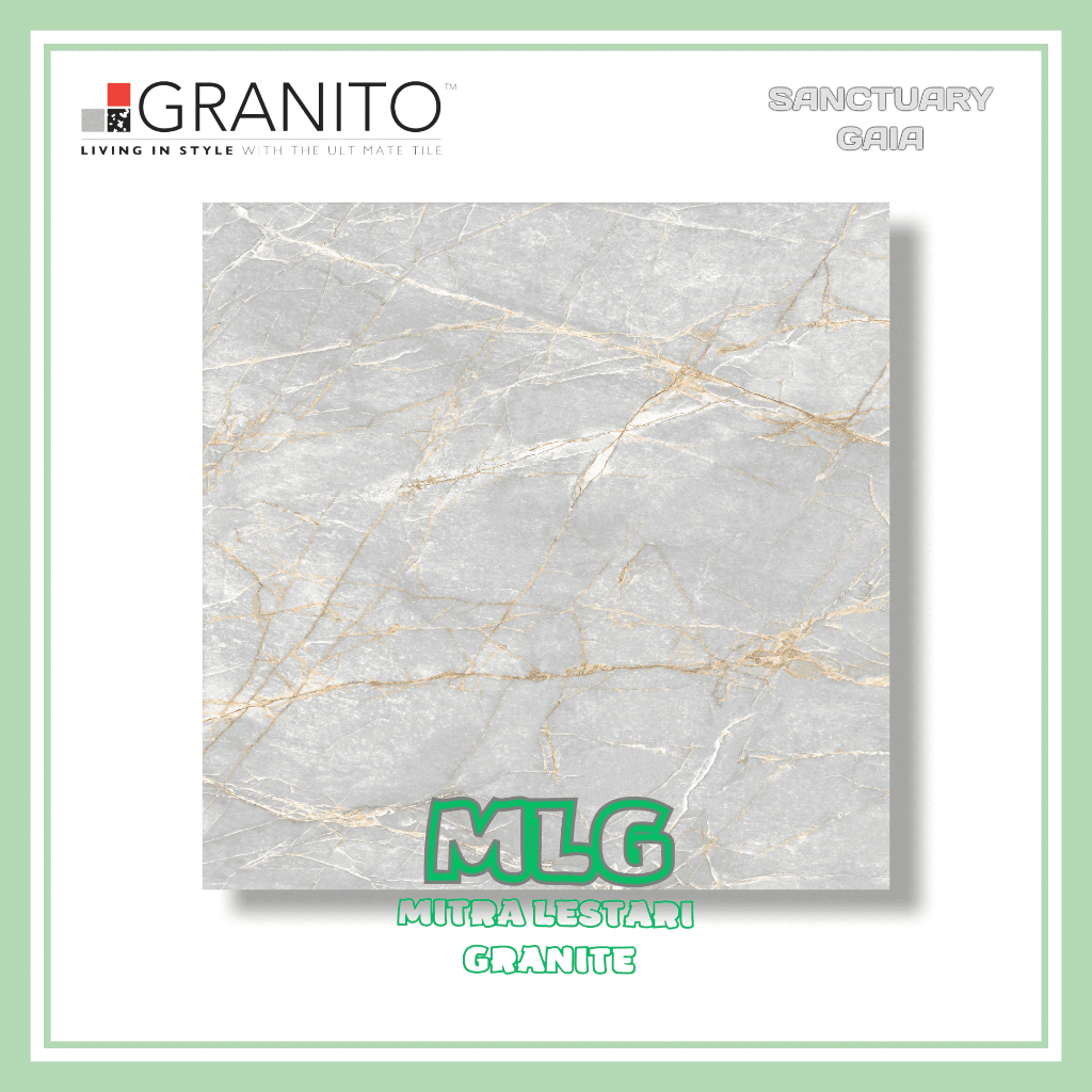 Granit Granito Gaia 60x60