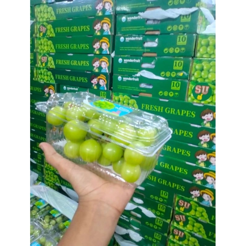 

Shine muscat/anggur hijau muscat pack