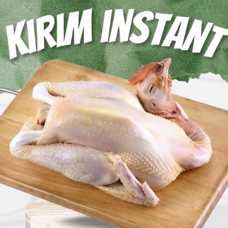

ayam kampung fresh 1 ekor (bukan frozen)
