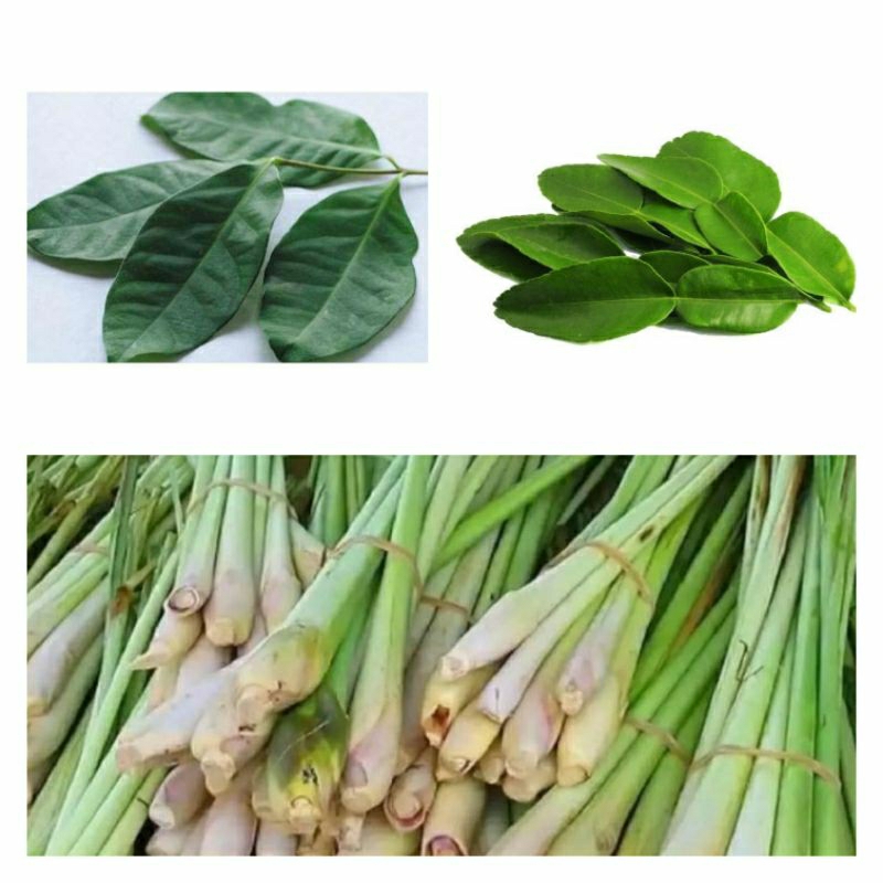 

daun jeruk, daun salam, sereh fresh 1 plastik
