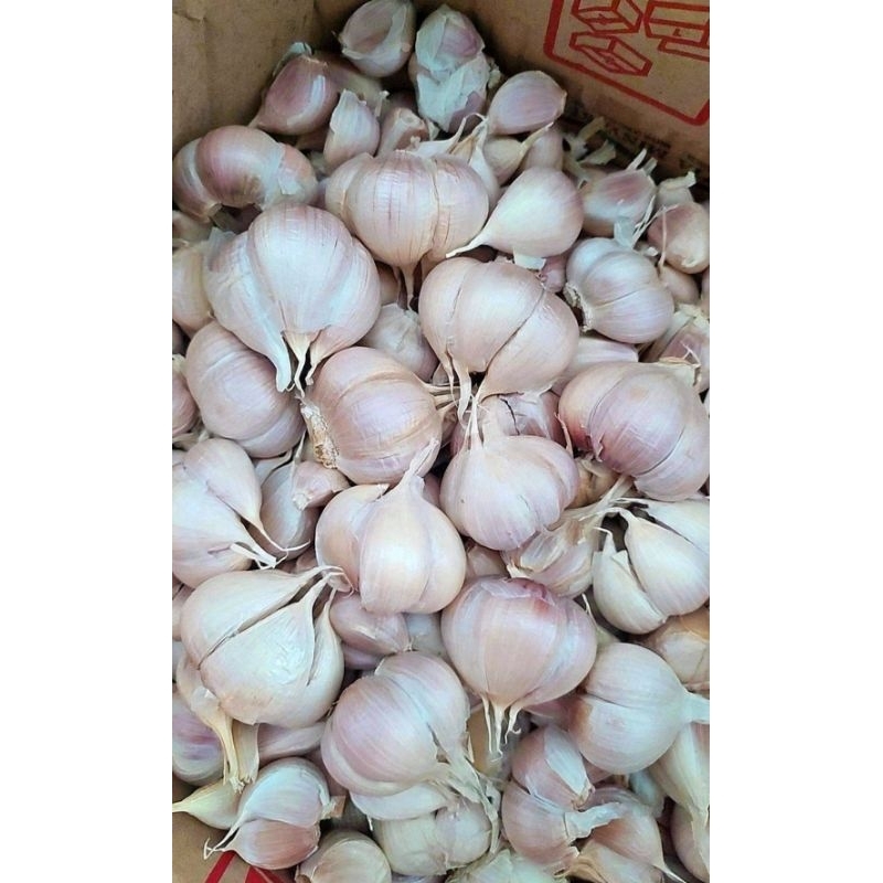 

GOSIR BAWANG PUTIH KATING 1KG