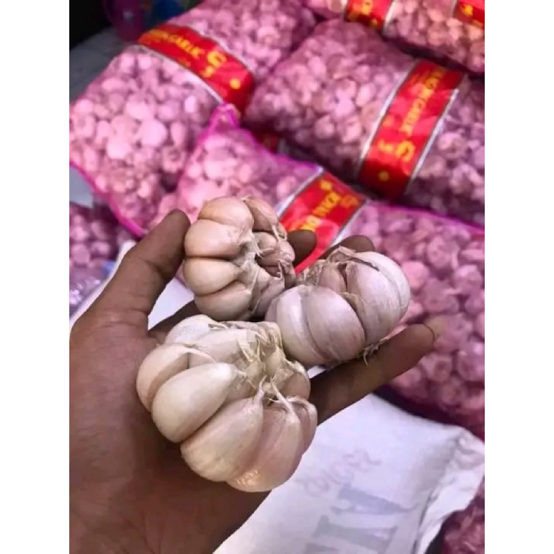 

BAWANG PUTIH HONAN MURAH 1KG