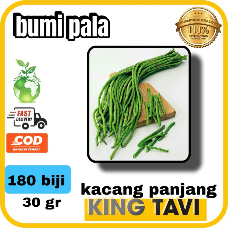 

[ BISA COD ] benih kacang panjang king tavi 30 gram isi 180 butir tahan virus