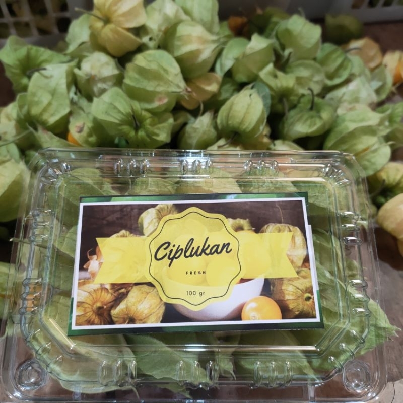 

buah ciplukan 1 ons fresh/ cecenet buah 100gr