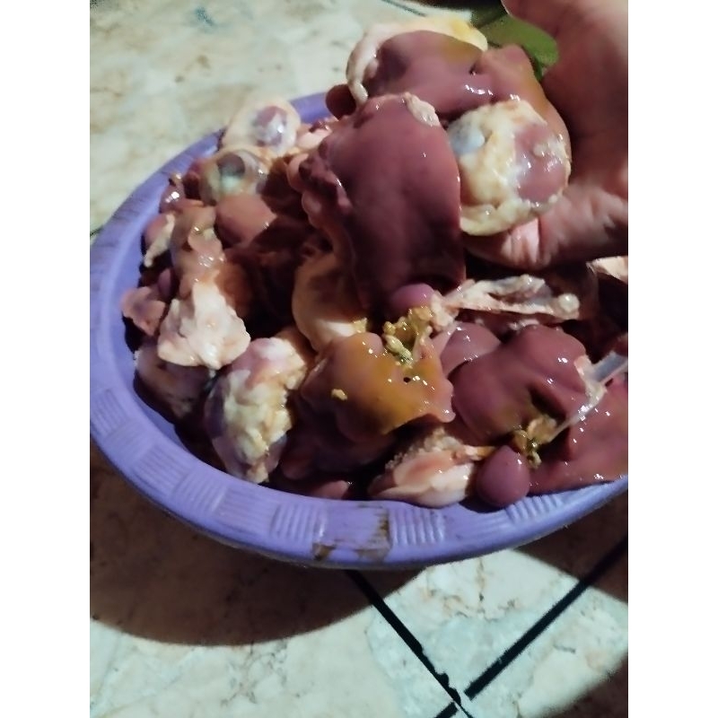 

Ati ampela ayam kotor tanpa empedu frozen 1 kg