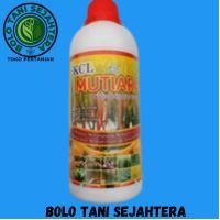 KCL Mutiara kalium super + ZPT 1Liter anti rontok anti keriting pembesar buah