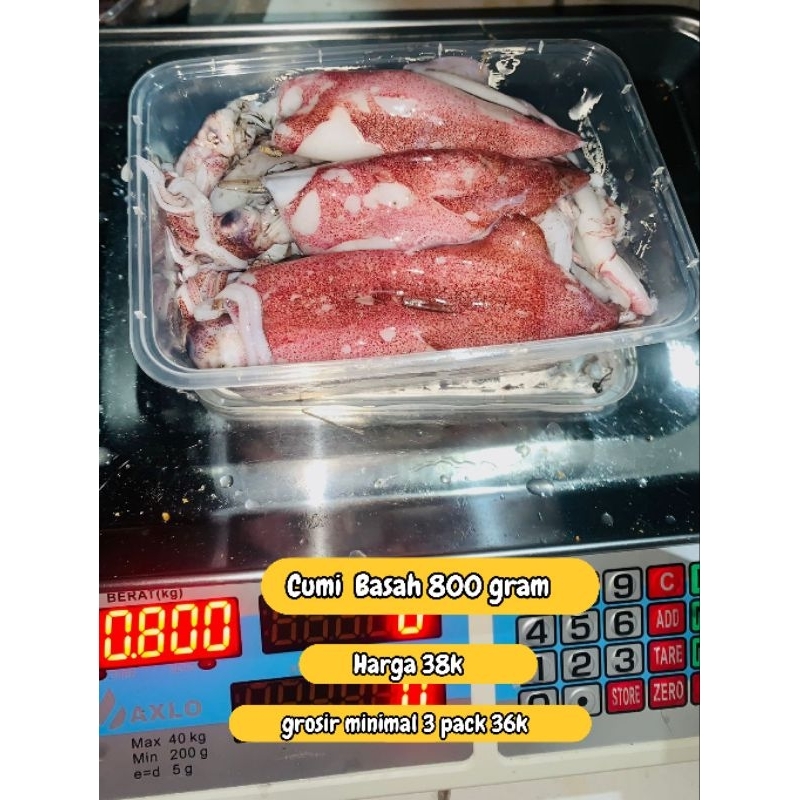 

instan - Cumi basah 800gram fresh frozen andara