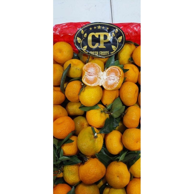 

BUAH JERUK SHANTANG DAUN SUPER FRESH GIFT KERANJANG -+6 KG