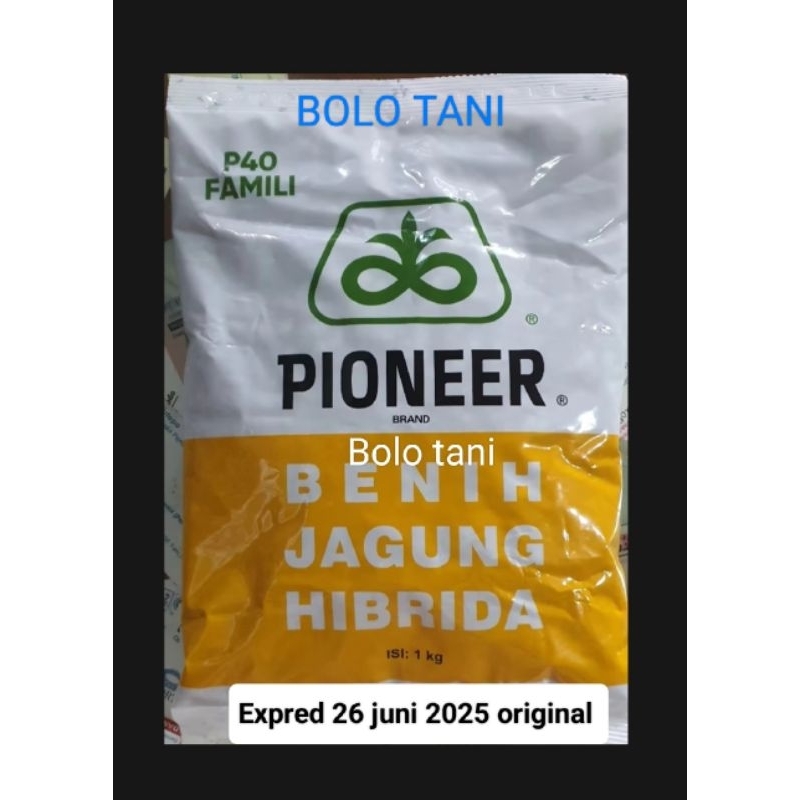 benih bibit jagung Hibrida pioner p 40 family expred 26 juni 2025 original