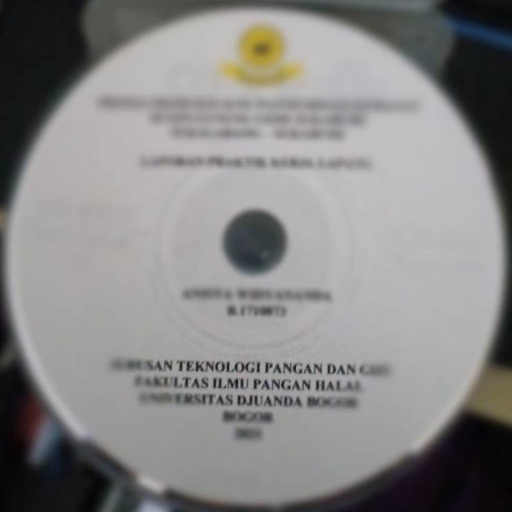 SPONTAN PAKET BURNING CD SKRIPSI DAN TESIS