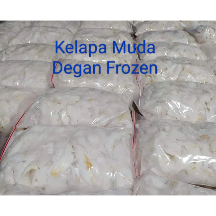 

Daging Degan Buah Kelapa Muda Beku Frozen Segar Kemasan 500GR