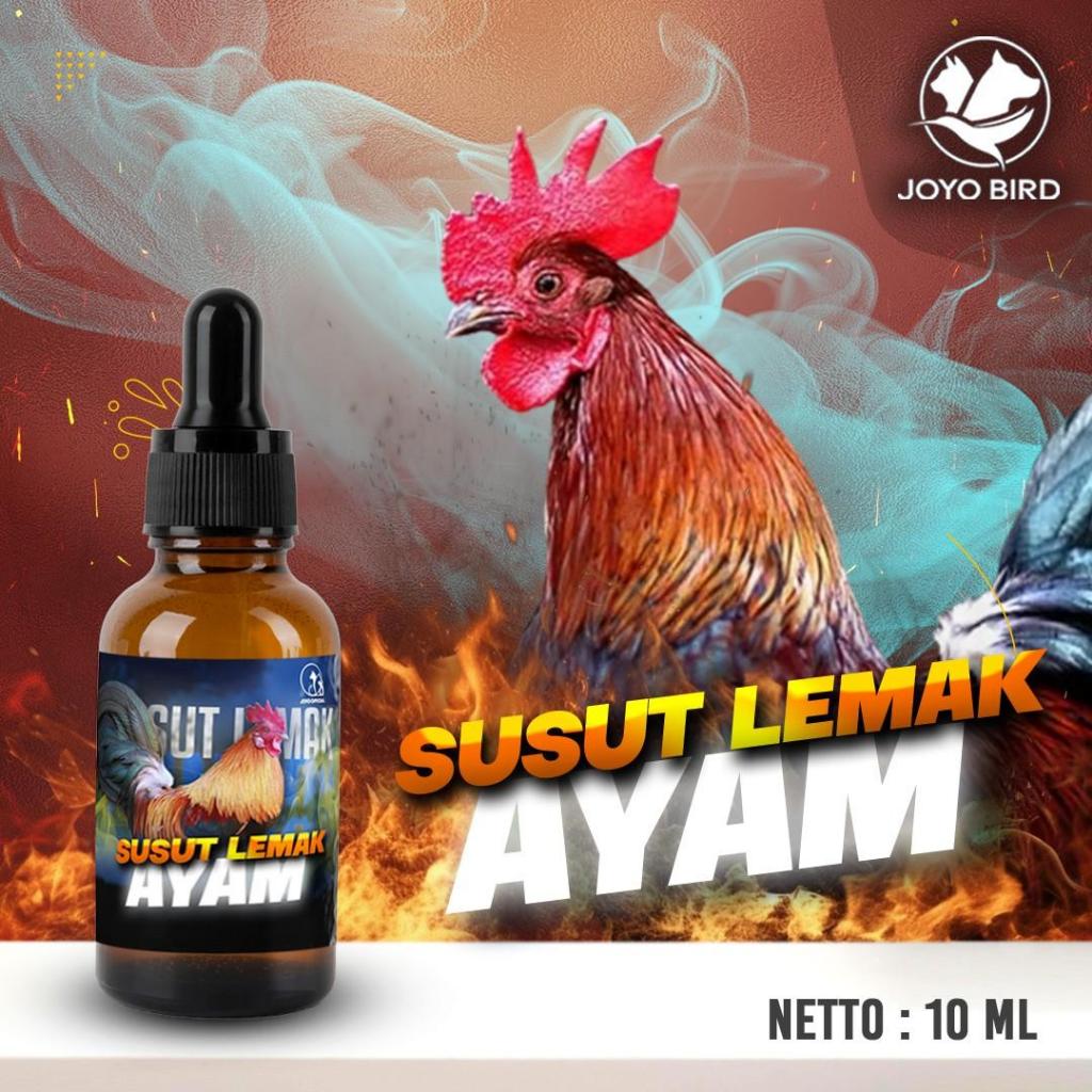 SUSUT LEMAK AYAM | VITAMIN PENGHILANG LEMAK AYAM | PELUNTUR LEMAK AYAM | PEMBAKAR LEMAK | MENGUBAH L