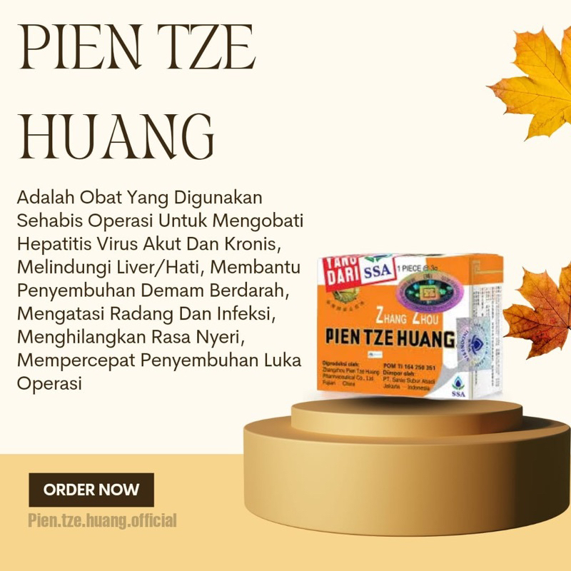 PIEN TZE HUANG OBAT PASCA OPERASI HERBAL ASLI - PIEN TZE HUANG KAPSUL