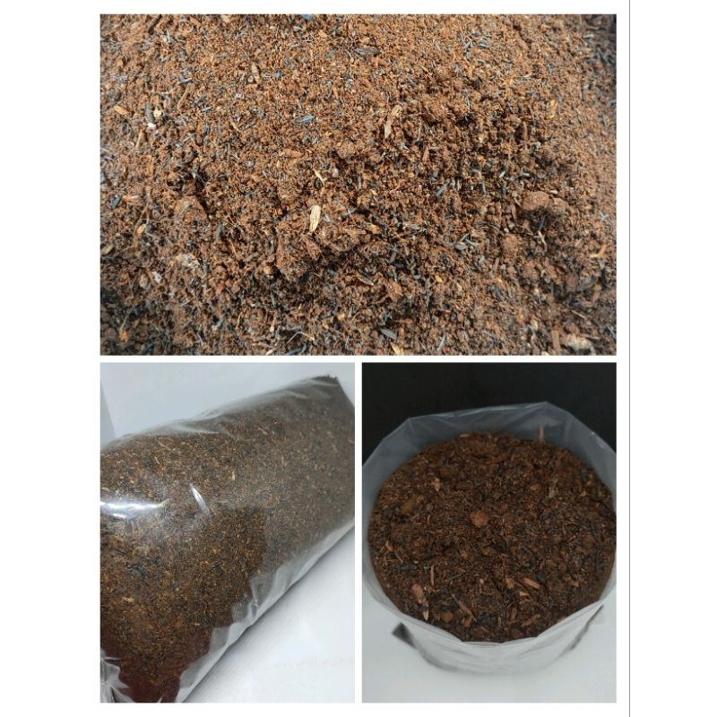 Media Tanam Bioplus Organik (MTBO)