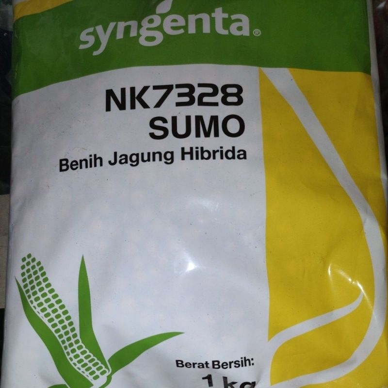 benih jagung syngenta sumo