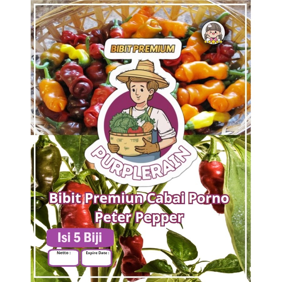 Bibit Premium Cabai Porno Piter Pepper | Cabe Peter Pepper | Benih Cabe Peter Pepper
