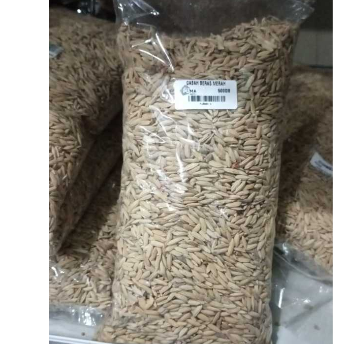 gabah beras merah untuk pakan burung gabah beras merah
