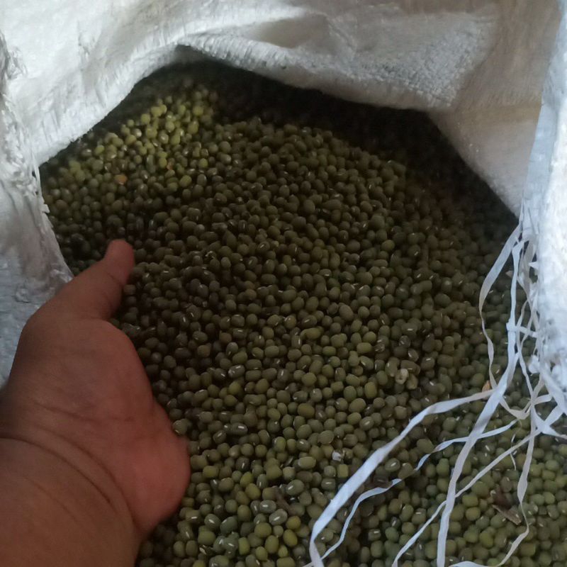 

kacang hijau pilihan 1kilogram