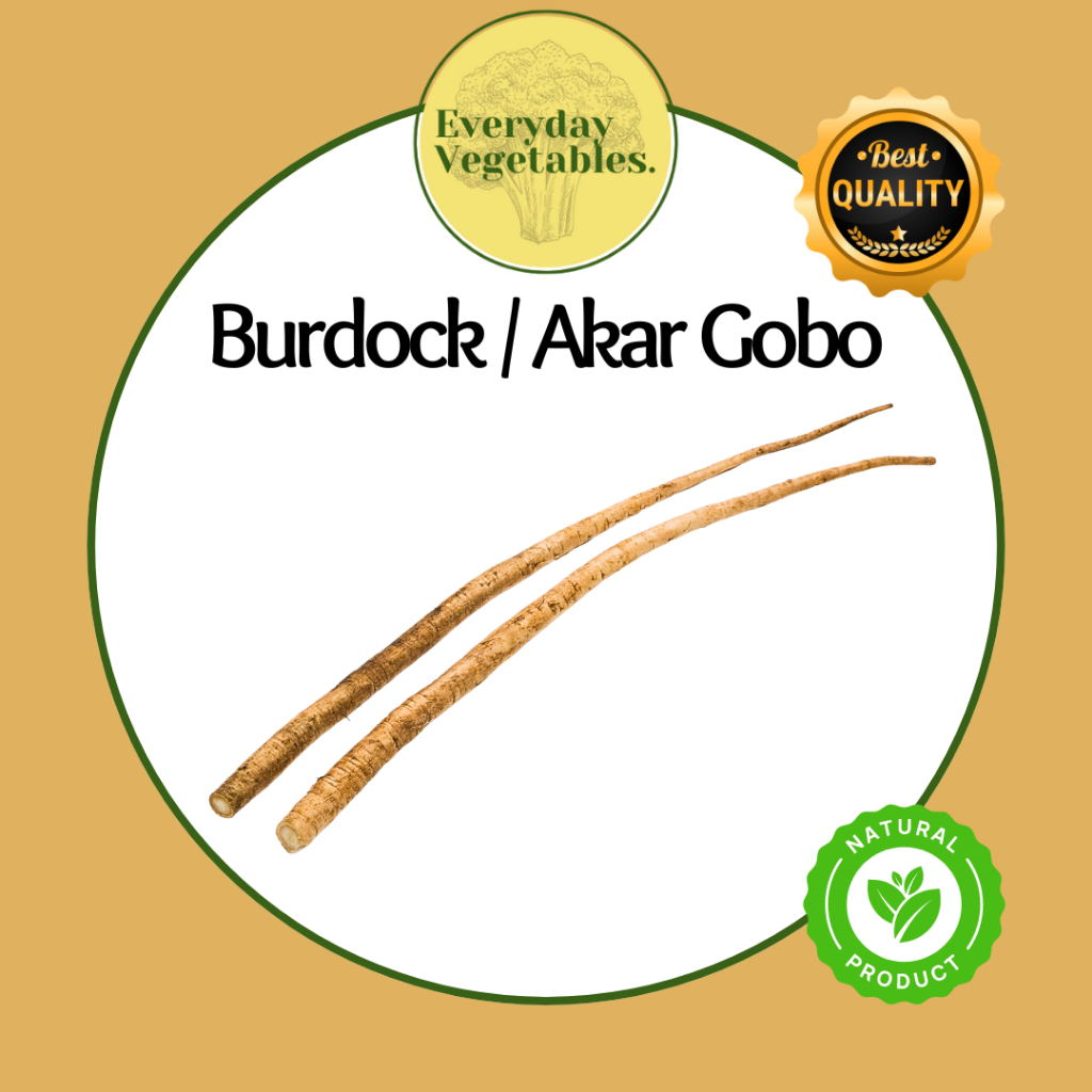 

Burdock (Akar Gobo/Akar Ketela Jepang) per Box @10KG