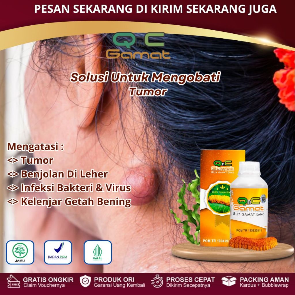 Obat Tumor, Tumor Ganas, Tumor Jinak di Selaput Otak, Kerusakan Saraf Otak Dengan QnC Jelly Gamat