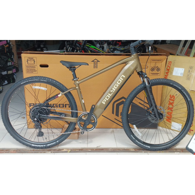 SEPEDA MTB 29" E-BIKE / EBIKE POLYGON KALOSI MILES C1 1 x 9 Speed HS dan MS TERBARU GARANSI RESMI