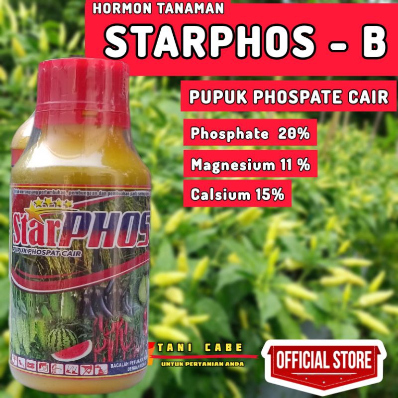 STARPHOS PHOSPAT CAIR - 500 ML