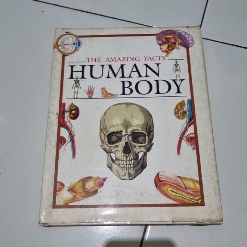 The Amazing Facts of Human Body