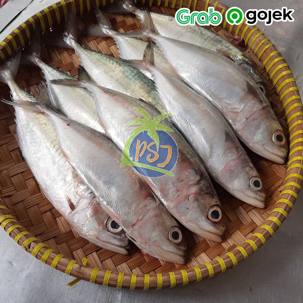 

Ikan kembung banjar segar - 500 gram utuh / layang beku frozen segar 1 kg 8-10 ekor / jual murah high quality ikan laut