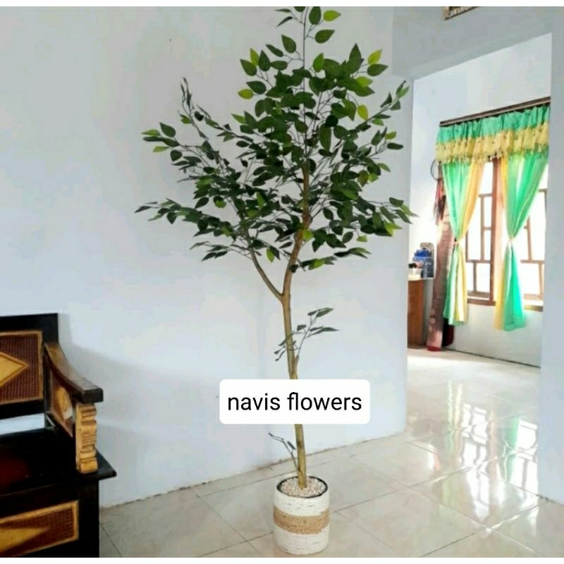 TAMAN POHON BERINGIN PLASTIK