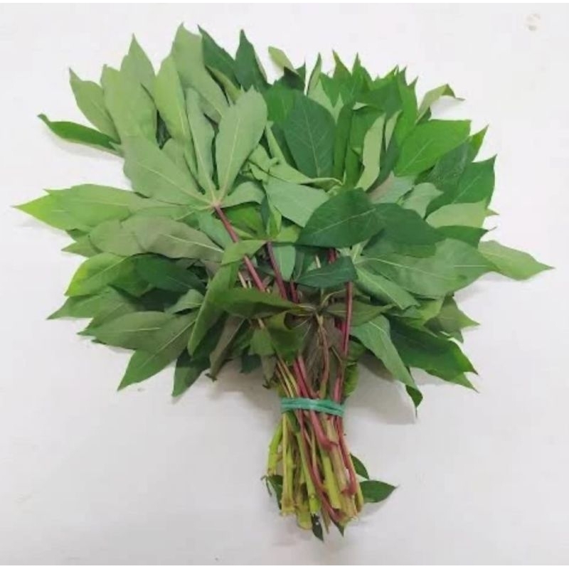 

daun ubi