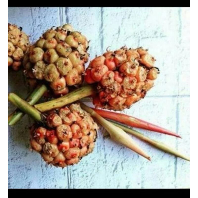 

Ready Buah Honje Kecombrang 500gram