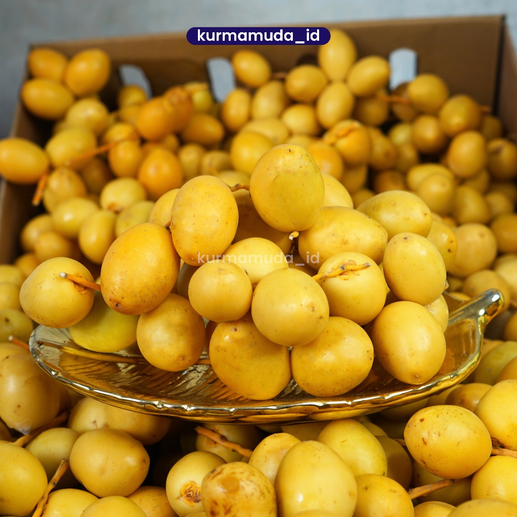 

Kurma Muda Segar untuk Promil - Fresh kurma muda Promil