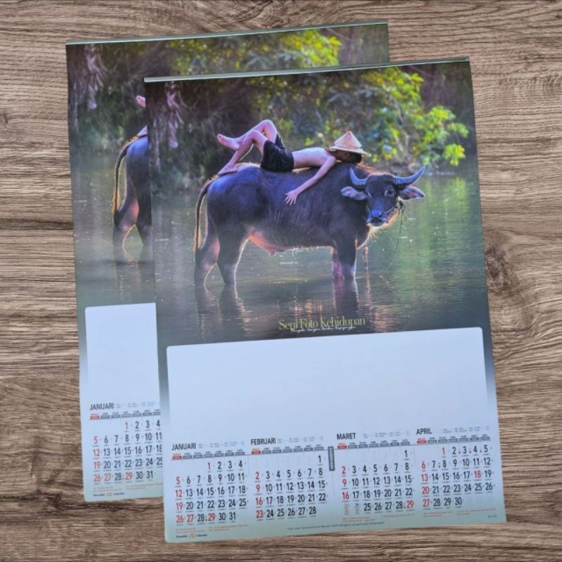 

kalender tahun 2025 3 lembar x 4 bulan seni foto kehidupan Ao 203 ukuran 38 x 54 cm ( terima castume cetak merek)