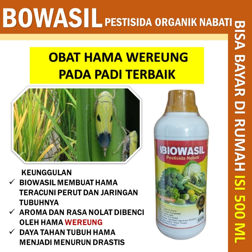 BIOWASIL 500 ML Obat Semprot Hama Wereng Padi  Pestisida Organik Nabati Obat Yang Ampuh Untuk Hama W