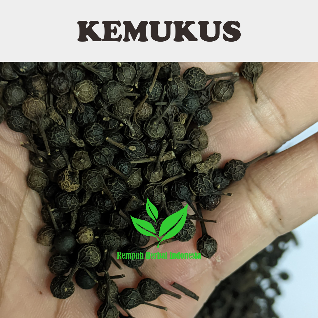 

1 Kg Biji kemukus kering / piper cubeba Organik original tanpa bahan pengawet
