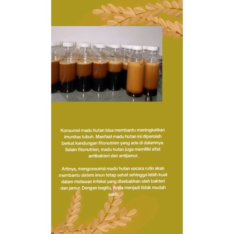 

Madu Murni hutan Bengkalis