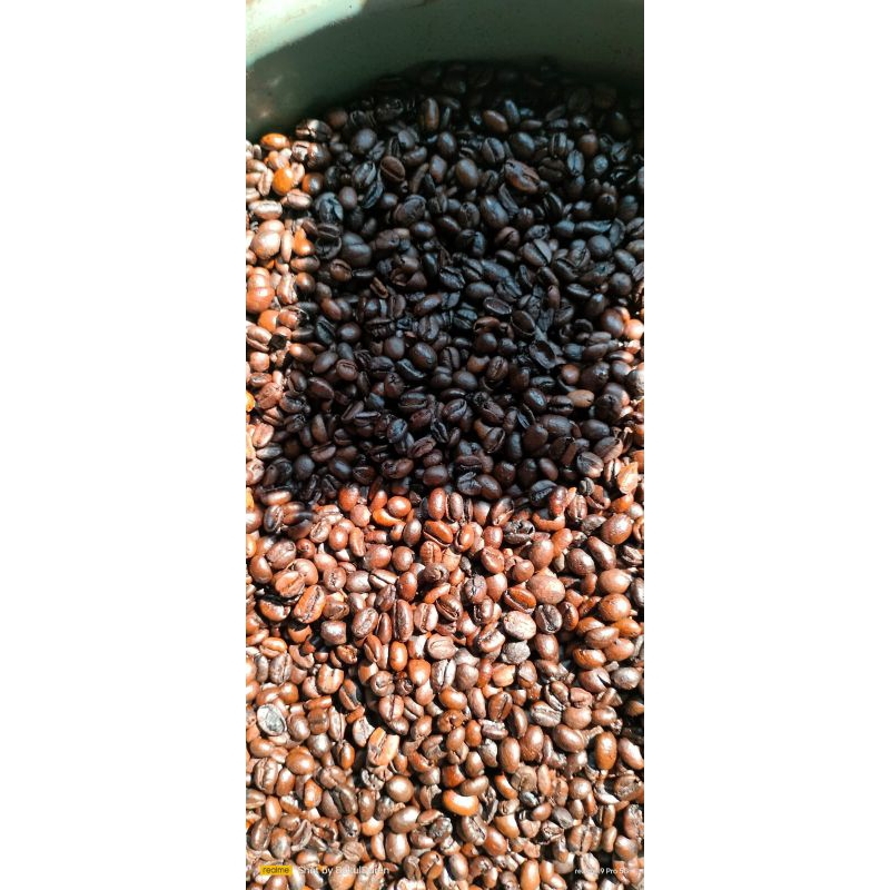 

biji kopi excelsa wonosalam roasting medium to dark