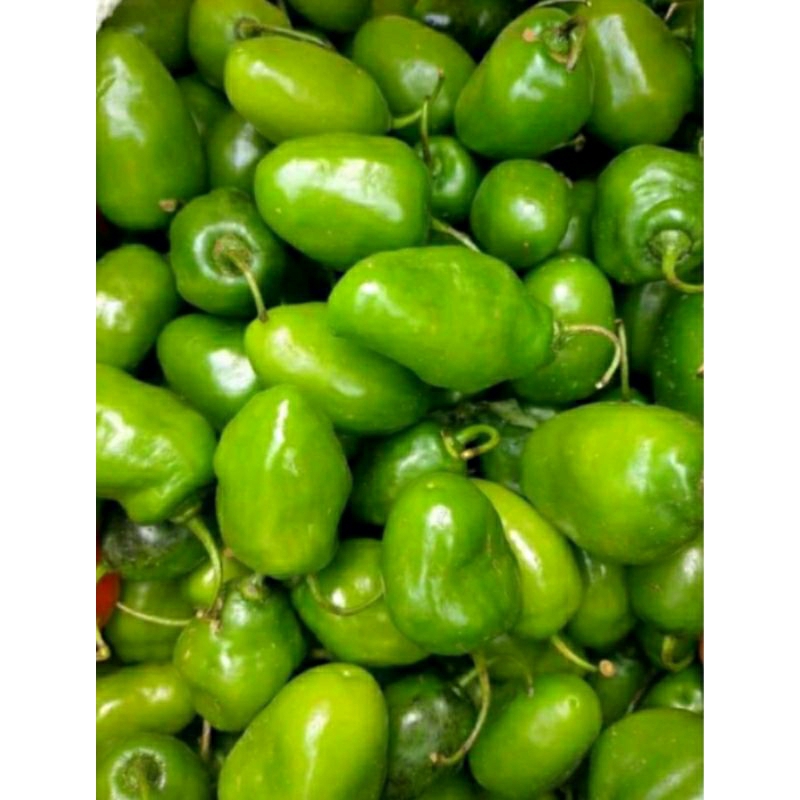 

Cabe Gendot segar /500gr