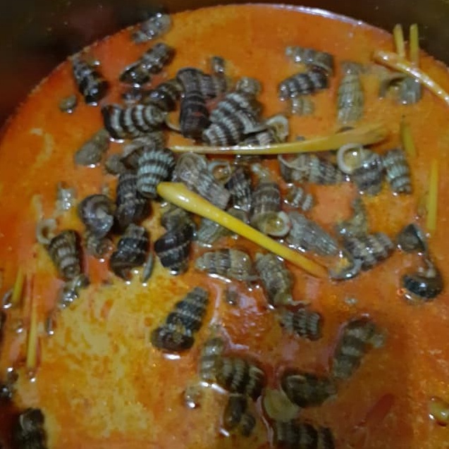 DAPATKAN PROMO TERBARU KATANGLO  SIPUT SEDUT  CHAO LO  KEONG NENEK