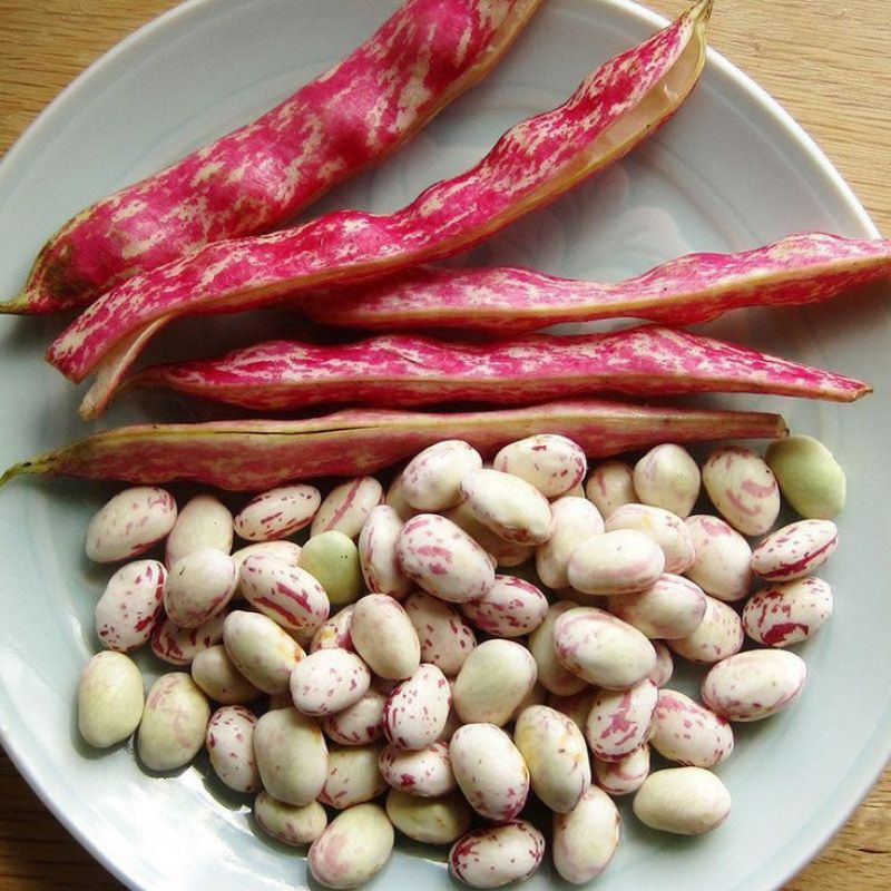 

Kacang merah kulit lurik 1 kg